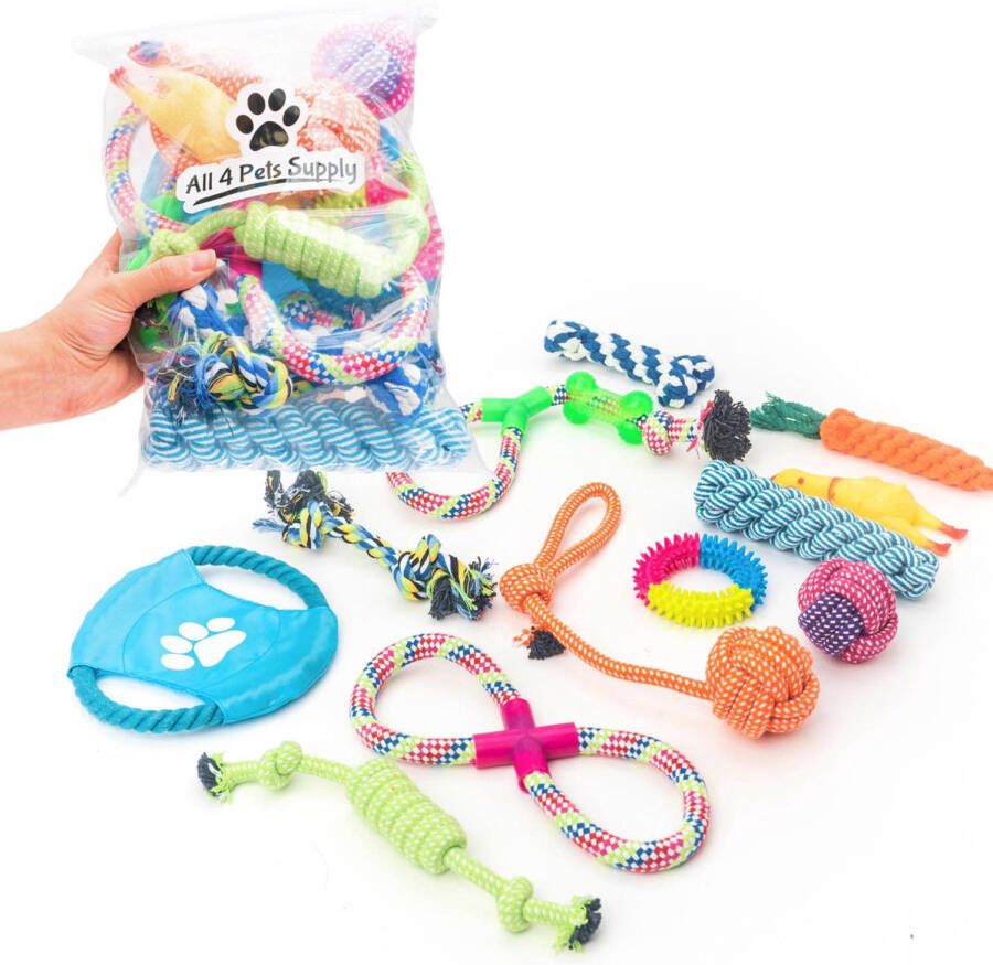 All 4 Pets Supply Honden Speelgoed Set Geschikt Voor Puppy&apos, s T/m Middelgrote Honden 12 Stuks Hondenspeeltjes Intelligentie