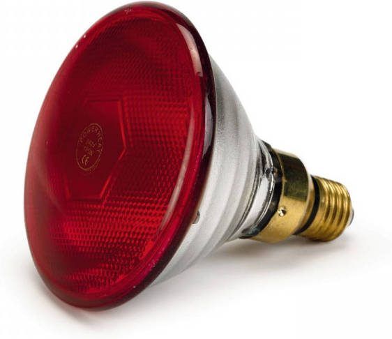 Powerheat Warmtelamp Verwarming Rood 175 Watt