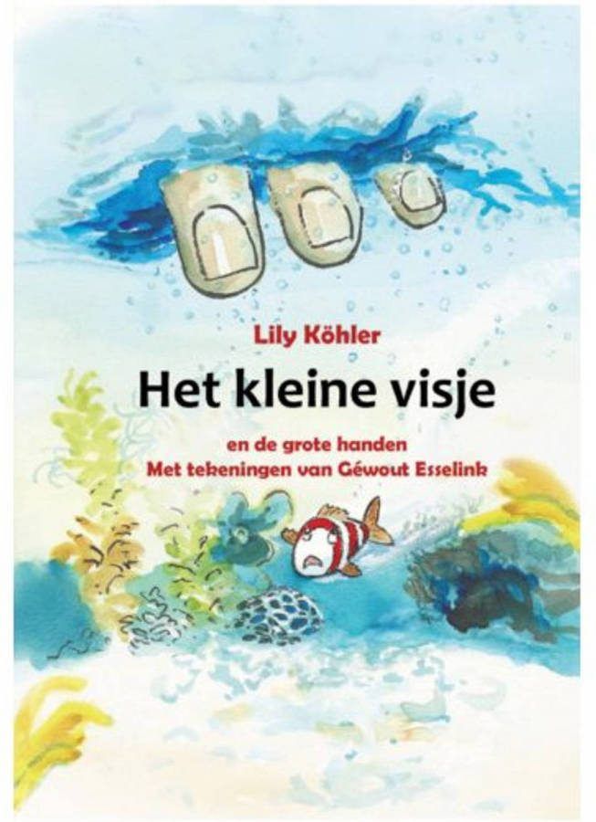 Het kleine visje en de grote handen Lily Köhler