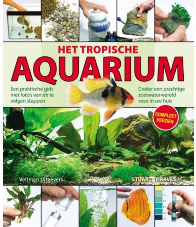 Het tropische aquarium Stuart Thraves