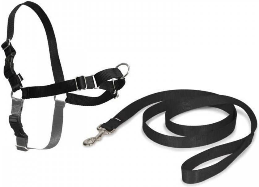 Dobeno Easy Walk Harnas M Zwart Voor Hond