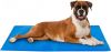 Maxxpro Pet Comfort Koelmat Hond- 50 X 65 Cm Middelgrote Honden Niet Giftig Directe Verkoeling Blauw online kopen