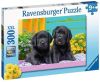 Ravensburger Puzzel 300 Stukjes Xxl Zwarte Labradors online kopen