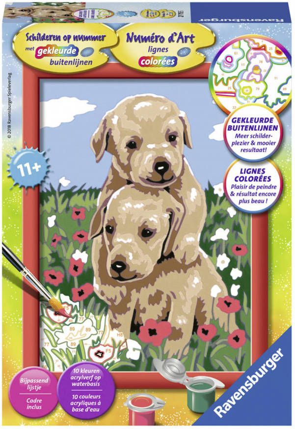 Ravensburger Schilderen Op Nummer Knuffelende Puppy&apos