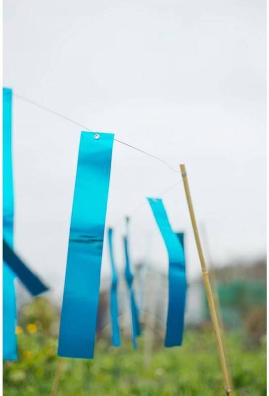 Nature Vogelschrikstrips Kweekbenodigdheden 0.1x4.5x29.5 cm Blauw 15 stuks