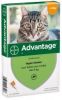 Advantage Nr. 40, Vlooienmiddel(tot 4kg)kat Per verpakking online kopen