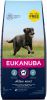 Eukanuba 15 kg + 3 kg gratis! 18 kg Bonusbag Hondenvoer Active Adult Large Breed Kip online kopen