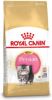 Royal Canin Persian Kitten Kattenvoer Dubbelpak 2 x 4 kg online kopen