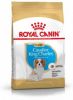 Royal Canin Breed 3x1, 5kg Cavalier King Charles Puppy Hondenvoer online kopen