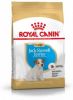 Royal Canin Puppy Jack Russell Terriër hondenvoer 2 x 3 kg online kopen