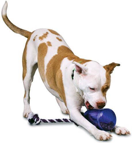 Busy Buddy Tug a Jug voor de hond Extra Small OP is OP