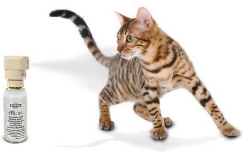 Petsafe Navulling voor ssscat afweerspray, 115 ml.