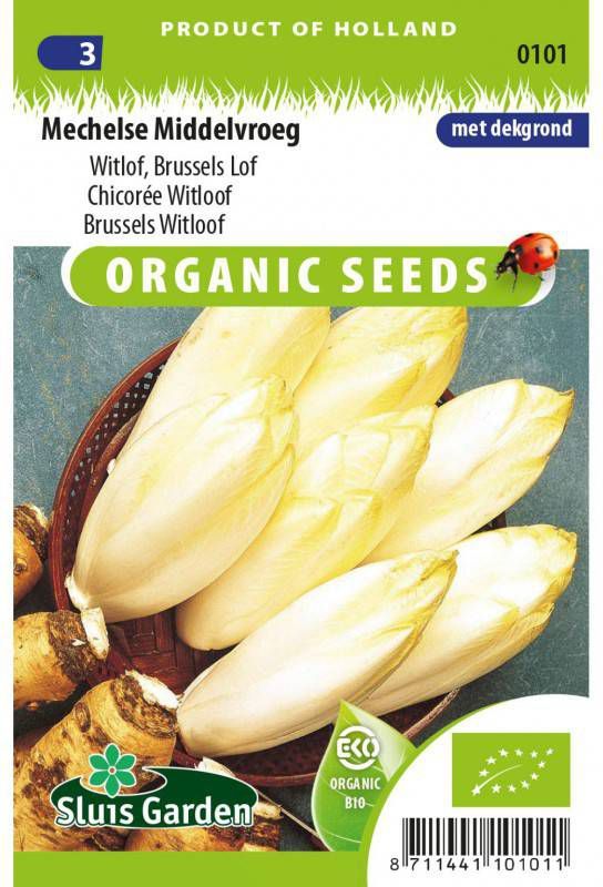 Witlof zaden Mechelse Middelvroege BIO