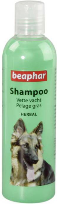 Beaphar Shampoo Vette Vacht Hond Hondenvachtverzorging 250 ml