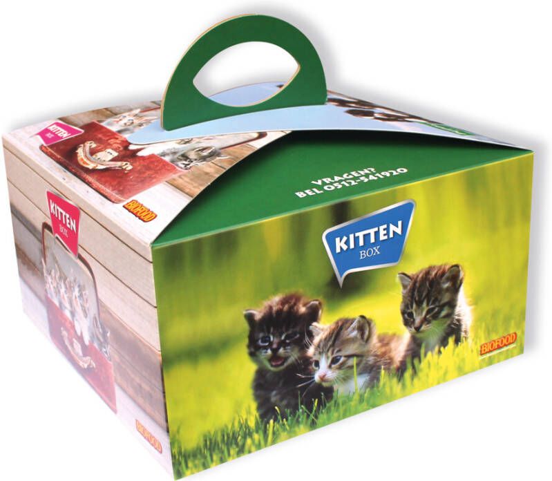 BF Petfood Kittenpakket