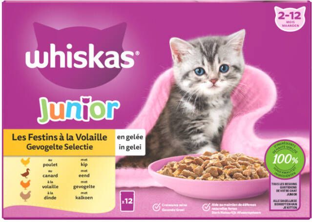 Whiskas 4x Junior Multipack Gevogelte Selectie in Gelei 12 x 85 gr