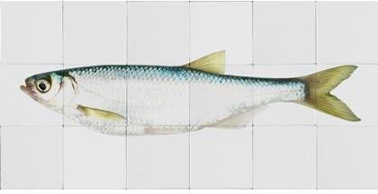 Esta Home ESTAhome muursticker vis geel en blauw 159028 97 x 48, 5 cm