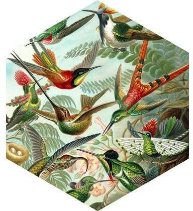 Esta Home ESTAhome muursticker vogels tropisch junglegroen 158999 70 x 81 cm