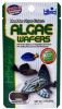 Hikari algae wafers 250 gr online kopen