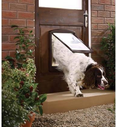 PetSafe Huisdierenluik in 2 richtingen 775 large 35, 6 x 30, 5 cm bruin 5024