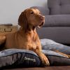 Scruffs Chester Zachte Hondenmatras met Anti Slip Onderzijde Grijs online kopen