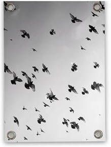 Villa Madelief Tuinposter Vogels zwart wit(70x100cm )