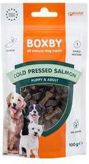 Boxby Grain Free 100 g Hondensnacks Zalm Hypo Allergeen