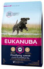 Eukanuba Dog Developing Junior Large Breed 2 x 12 kg