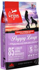 Orijen Puppy Large Breed Whole Prey 2 x 11, 4 kg