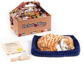 Perfect Petzzz Knuffel Kitten Orange Tabby