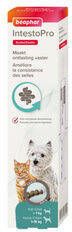 Beaphar Intestopro Pasta Kat/Hond Tot 15kg Spijsverteringmiddel Kip