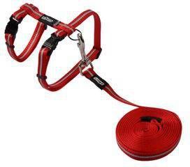 Rogz Alleycat Tuigje Met Looplijn Rood Kattenharnas 11.5x18.9 cm