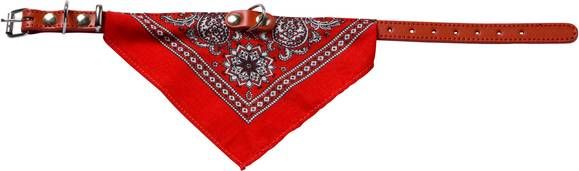 Adori Halsband Met Zakdoek Rood Hondenhalsband 45x1.8 cm