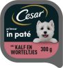Cesar 20x Primeur Kalf Worteltjes in Paté 300 gr online kopen