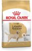Royal Canin Breed 2x12kg Labrador Retriever Adult Hondenvoer online kopen