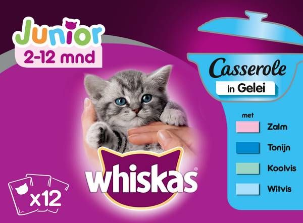 Whiskas Junior Casserole Visselectie in Gelei economy pack 12 x 85g 4 x(12 x 85 gr )
