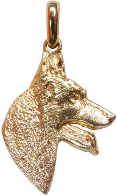 Christian Gouden hond