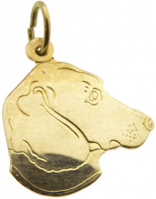 Christian Gouden hond hoofd hanger