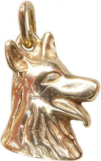 Christian Hond hanger