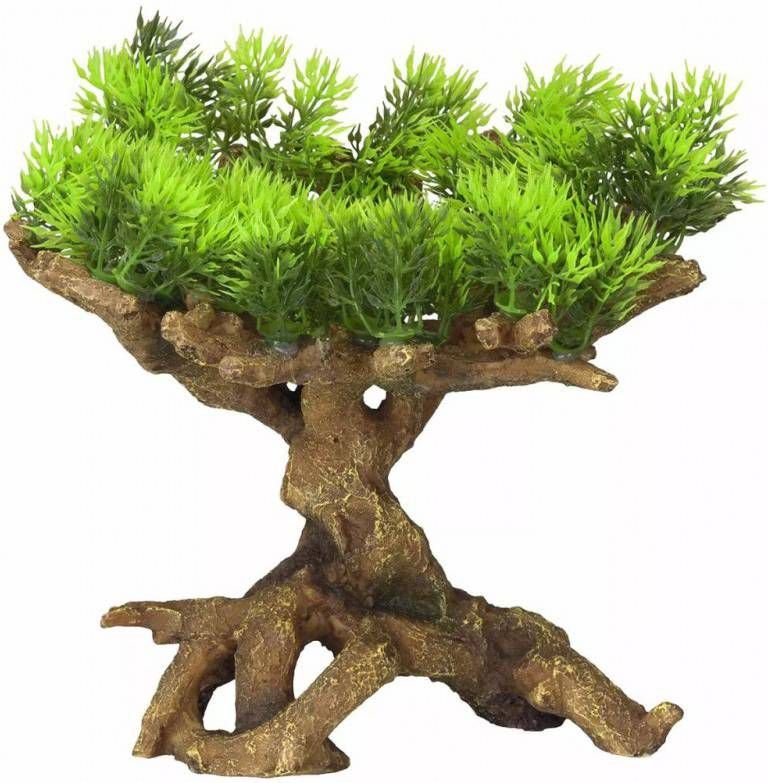 Aqua Della Decor Flora Scape No. 11 Aquarium Ornament 22x19x23.5 cm