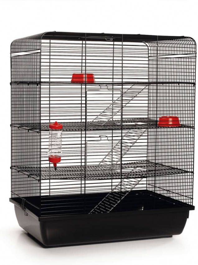 Beeztees Rattenkooi Remy 58x38x71 cm zwart 266815