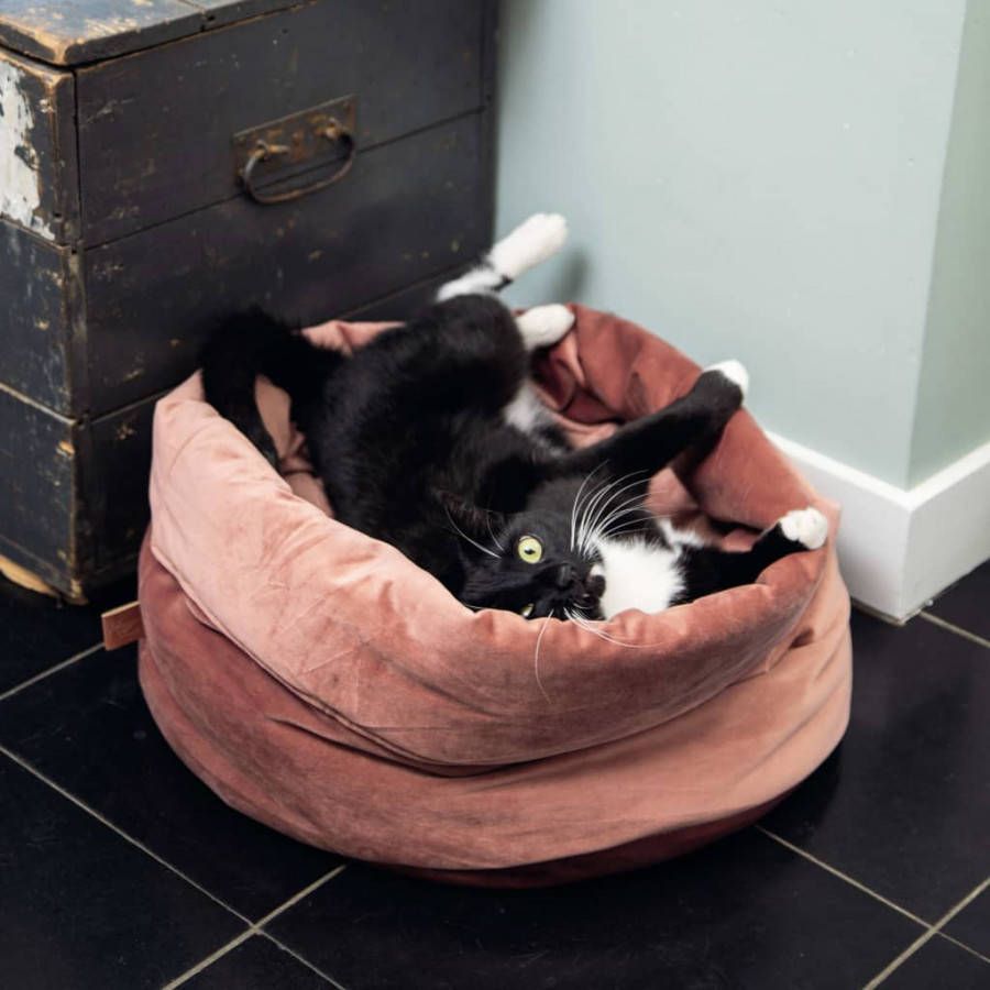 Designed by Lotte Fluco Kattenmand Fluweel Roze 45x45x35 cm