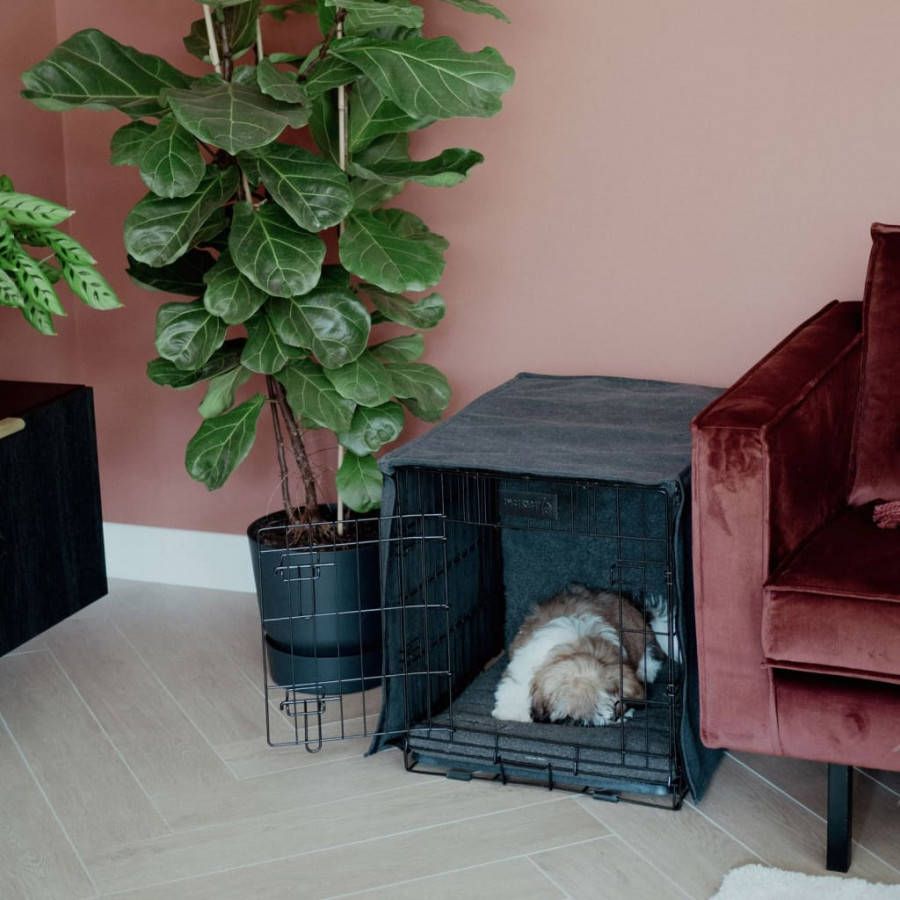 District 70 Bench Hoes Donkergrijs Hondenbench 94x63x66 cm