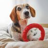 Ferplast Kauwspeeltje voor honden Smile large 20x18x4 cm rood online kopen