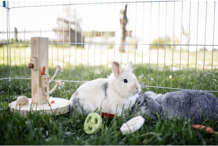 Kerbl Dierenspeelgoed voor denken en leren 25x25x30 cm hout
