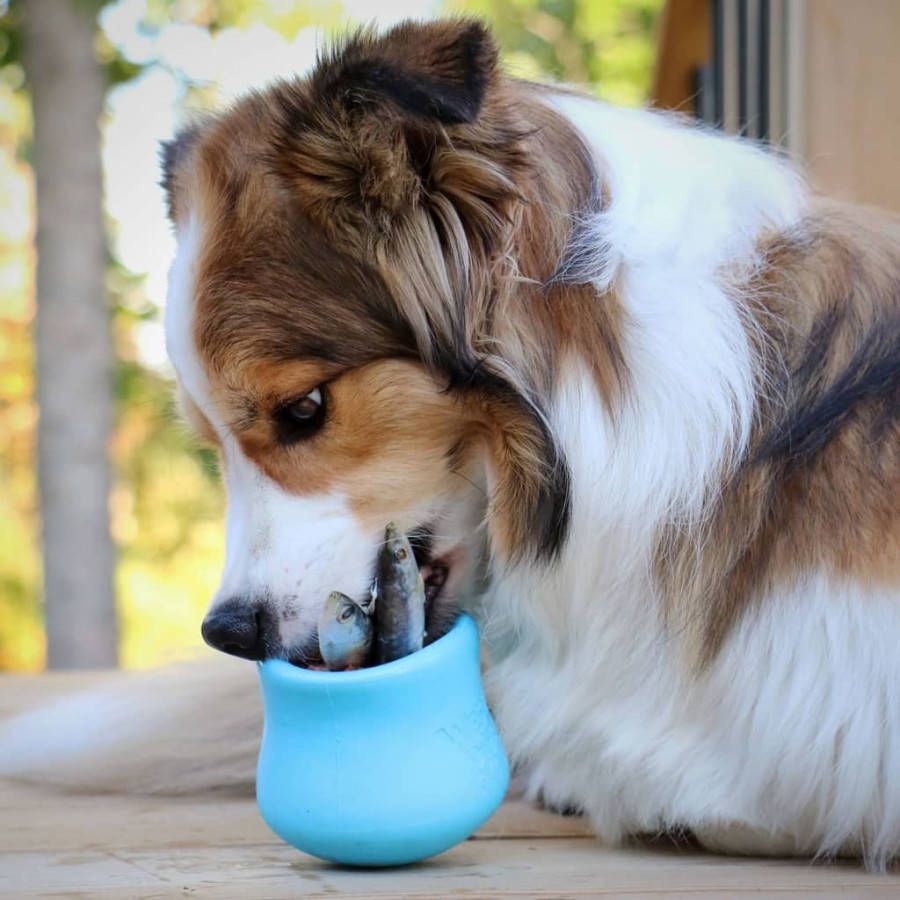 West Paw Hondenspeelgoed met Zogoflex Toppl S aquablauw