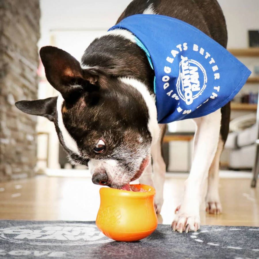 West Paw Hondenspeelgoed met Zogoflex Toppl S mandarijnoranje