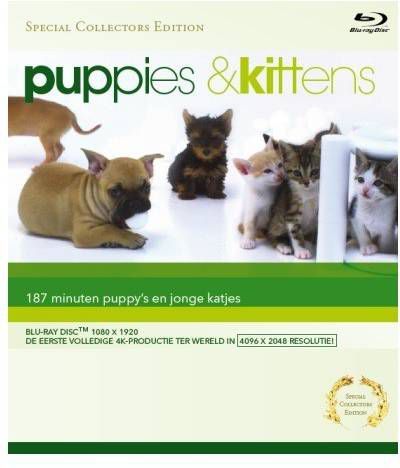 Blu-Ray Film Puppies & Kittens