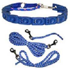 Perfect Dog Honden Halsband Perfect Dog Small