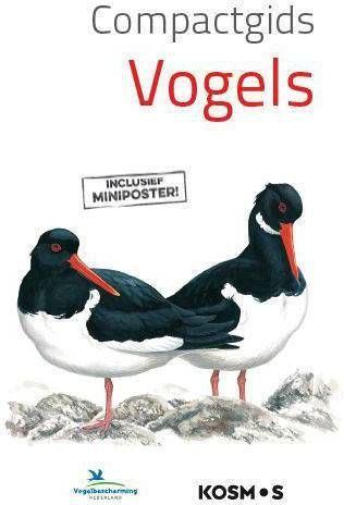 Vogels Compactgids